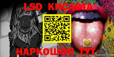 прущие грибы Кандалакша