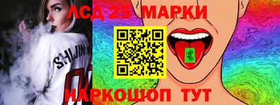 прущие грибы Кандалакша