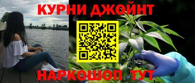 прущие грибы Кандалакша