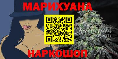 прущие грибы Кандалакша