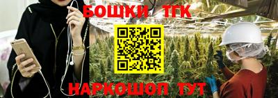 a pvp Камышлов