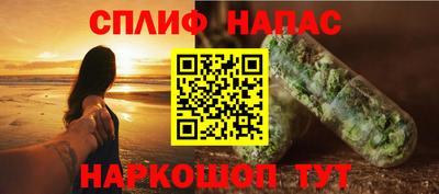 прущие грибы Кандалакша