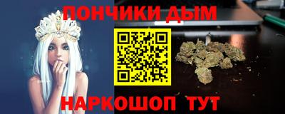 a pvp Камышлов