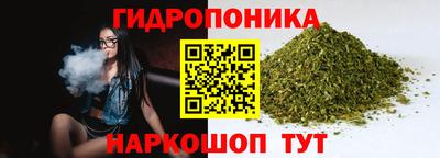 a pvp Камышлов