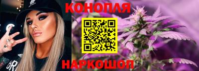 прущие грибы Кандалакша