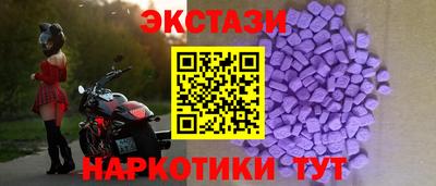 a pvp Камышлов