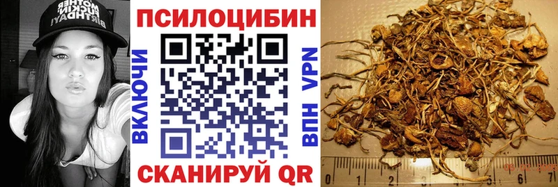 продажа наркотиков Михайловка Галлюциногенные грибы Magic Shrooms