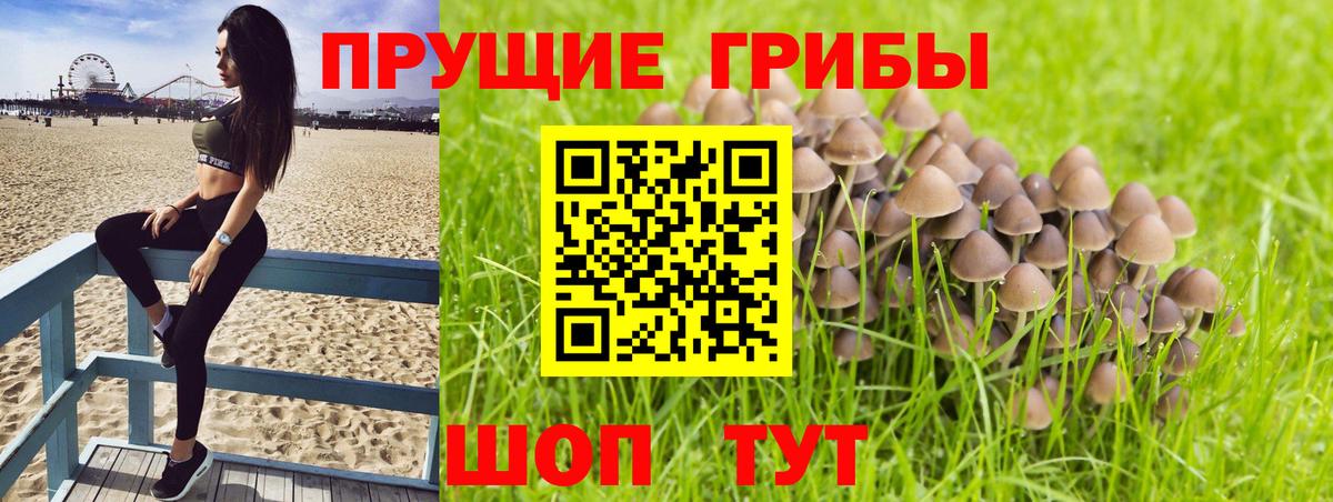 Михайловка  Псилоцибиновые грибы GOLDEN TEACHER  Вход с VPN 